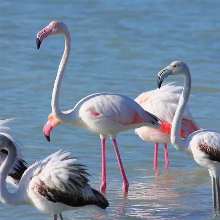 بيت للعطل Casa Fabiola بوتزو ايدو